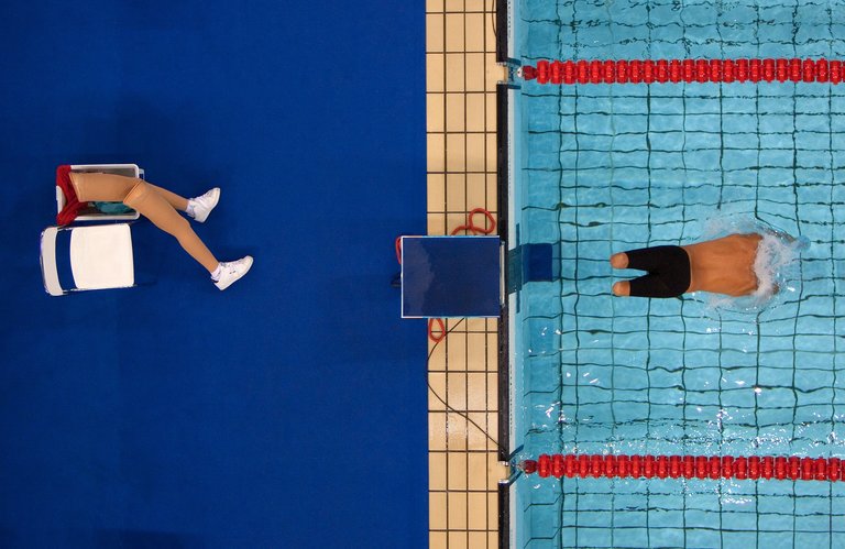 new york times sports photographer artists