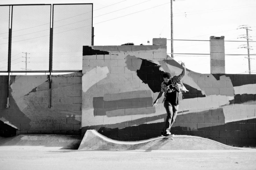 ray barbee skateboard photo interview vice chris nieratko