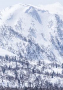 saturdays-nyc-snowboarding-japan-guide-2