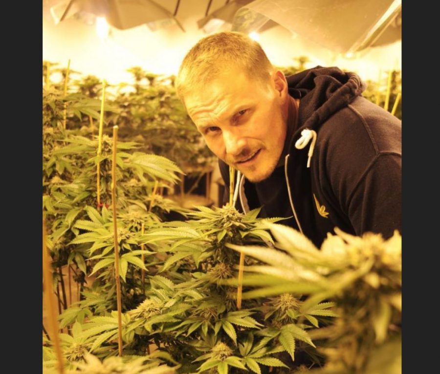 ross-rebagliati-gold-weed-business